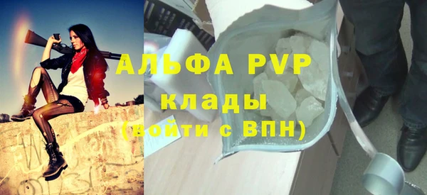 сатива Козловка