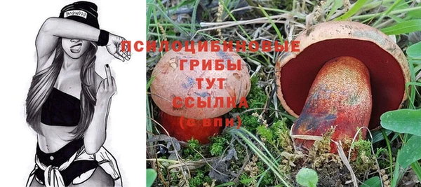 MESCALINE Козельск