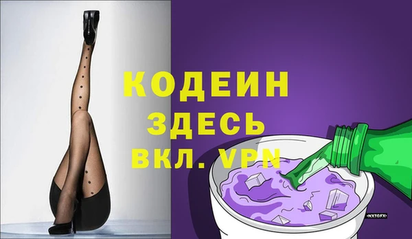 сатива Козловка