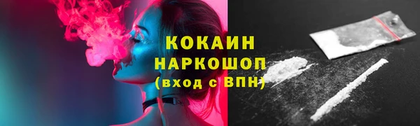сатива Козловка
