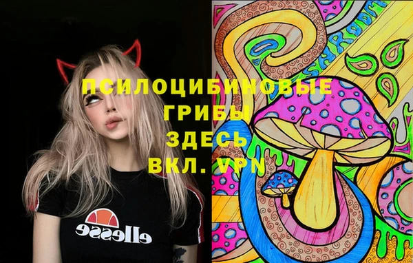 сатива Козловка
