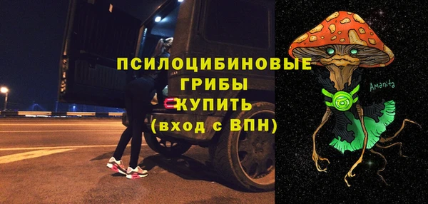 сатива Козловка
