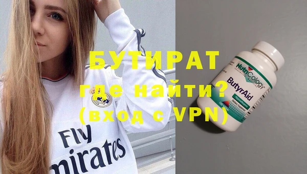 сатива Козловка