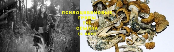 MESCALINE Козельск