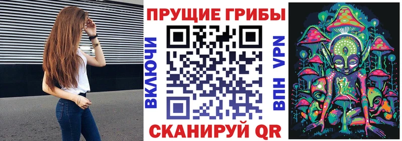 Псилоцибиновые грибы Psilocybine cubensis  Купить закладки  Мыски 