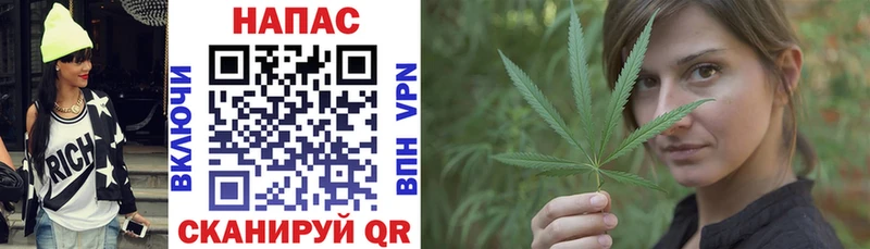 Шишки марихуана Bruce Banner  Купить  Мыски 